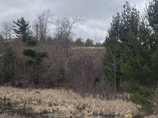 Lot 1 10-7/8 Avenue, Cameron, WI 54822