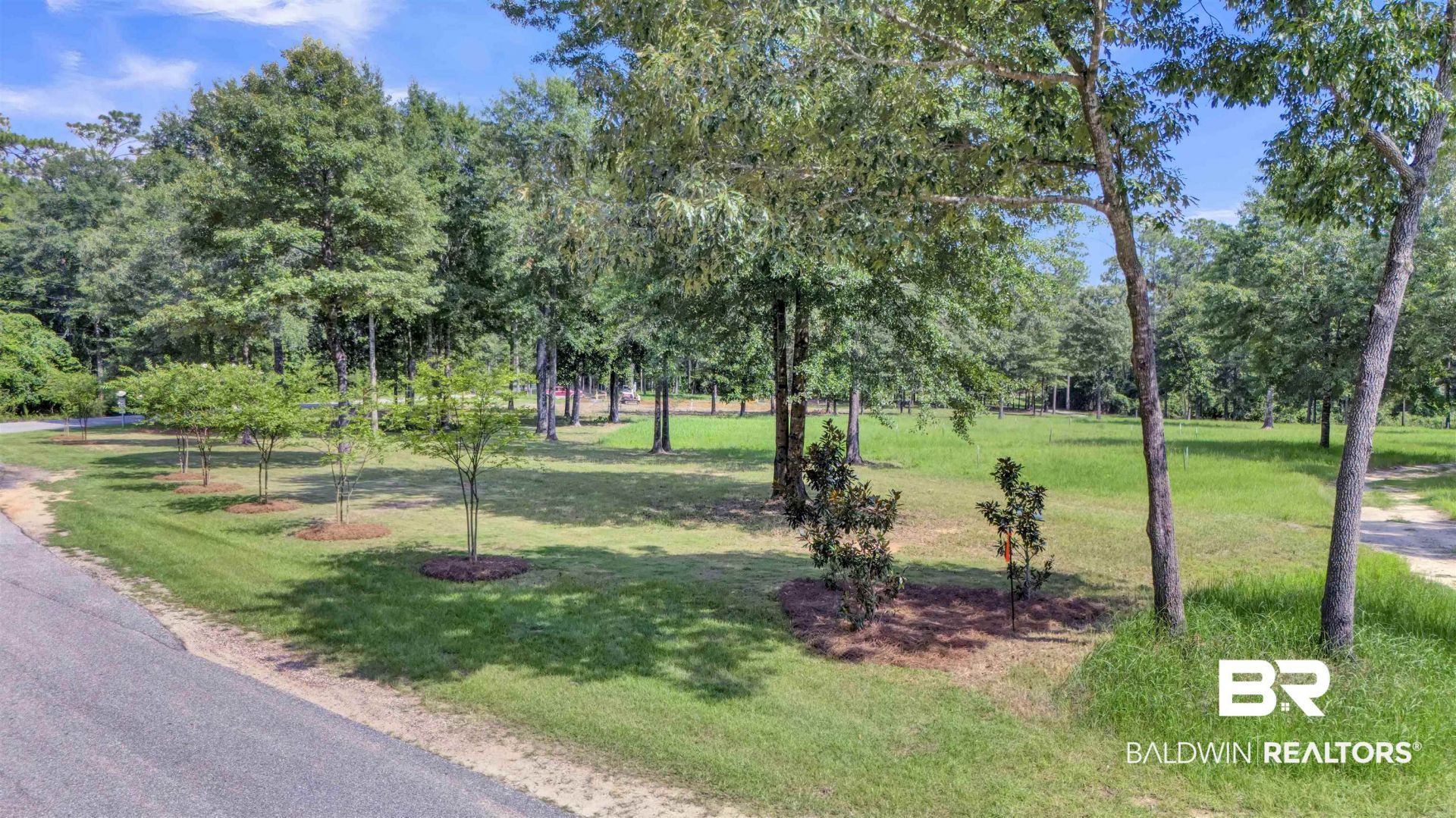 33579 Steelwood Ridge Road, Loxley, AL 36551 Main Photo