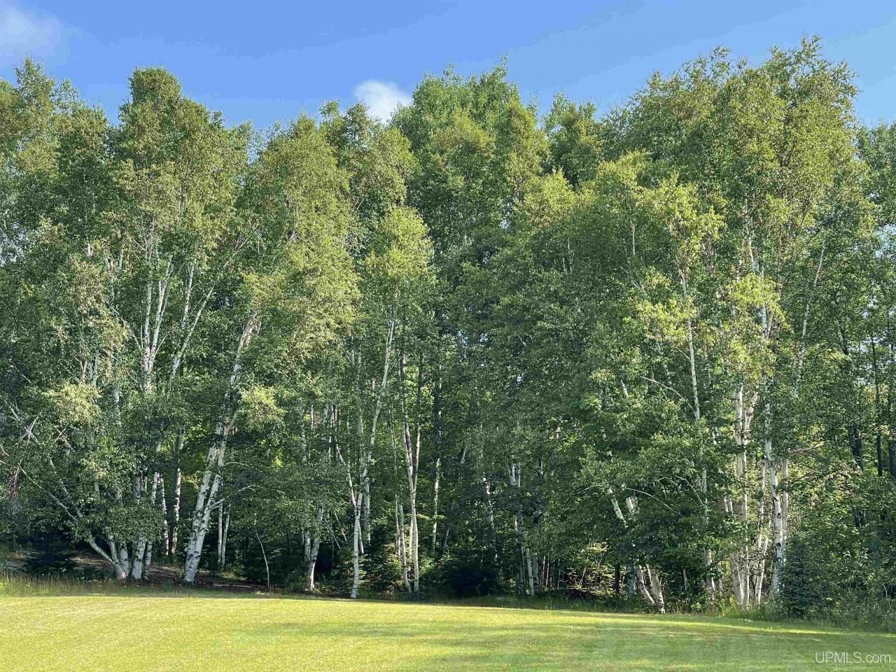 Tbd County Road 492, Marquette Twp, MI 49855 Main Photo