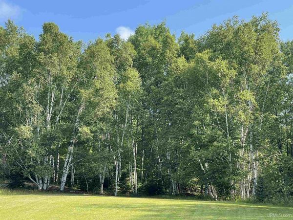 TBD County Road 492, Marquette Twp, MI 49855