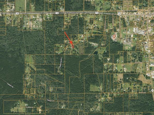 TBD S Bankston Rd, Albany, LA 70711