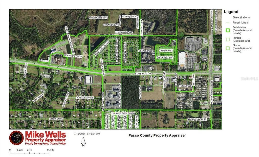 4240 Loury Drive, Wesley Chapel, FL 33543 Photo