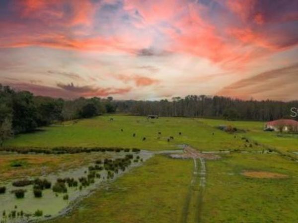 1850 SLOANS RIDGE ROAD, GROVELAND, FL 34736