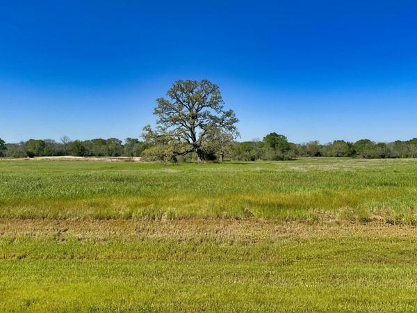 10022 Hidden Pond Drive, Iola, TX 77861