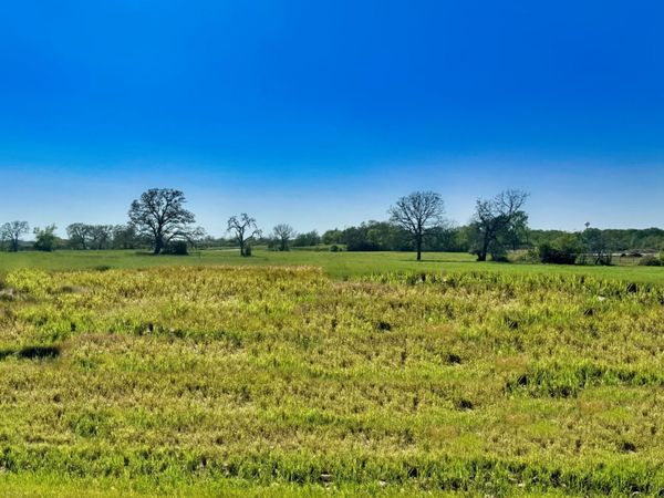 10199 Panther Creek Drive, Iola, TX 77861