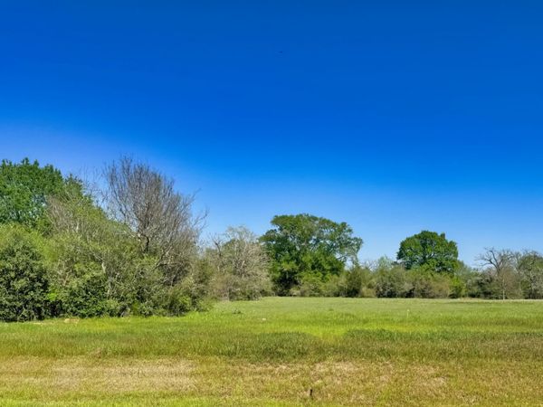 10246 Panther Creek Drive, Iola, TX 77861