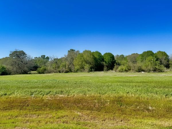 10283 Panther Creek Drive, Iola, TX 77861