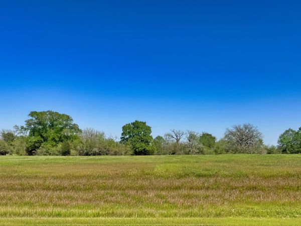 10222 Panther Creek Drive, Iola, TX 77861