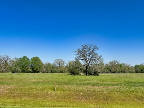 10172 Panther Creek Drive, Iola, TX 77861