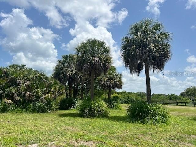 Boyd Lane, Terra Ceia Island, FL 34250 Photo