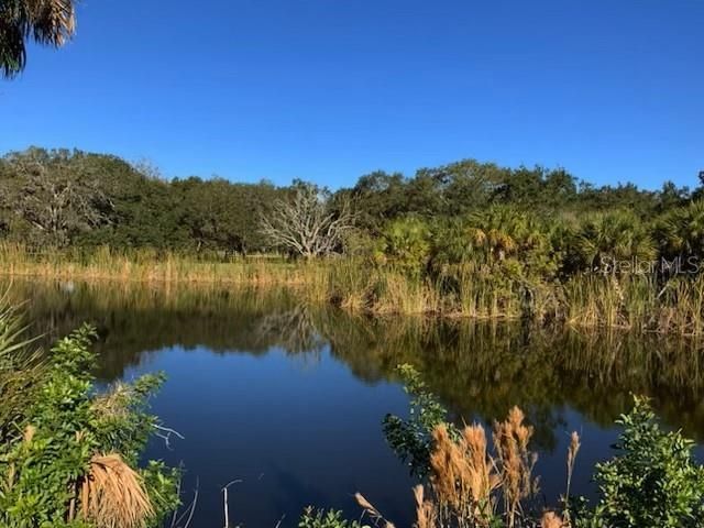 Boyd Lane, Terra Ceia Island, FL 34250 Photo
