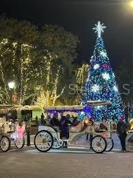 576 Casey Loop, Mount Dora, FL 32757 Photo