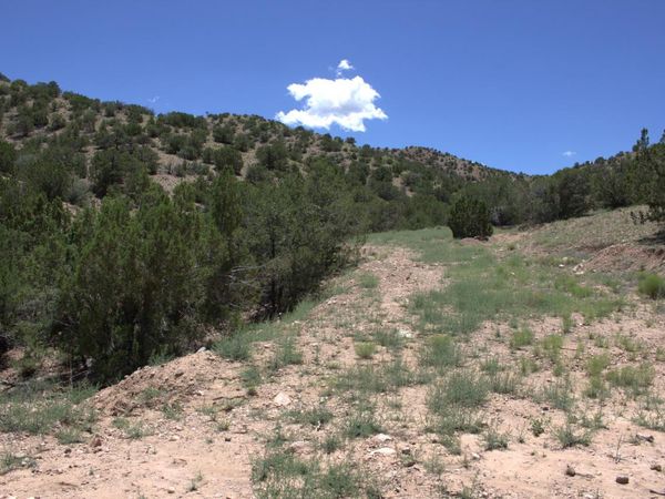 Tres Amigos, Placitas, NM 87043