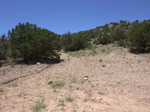 Tres Amigos Road, Placitas, NM 87043