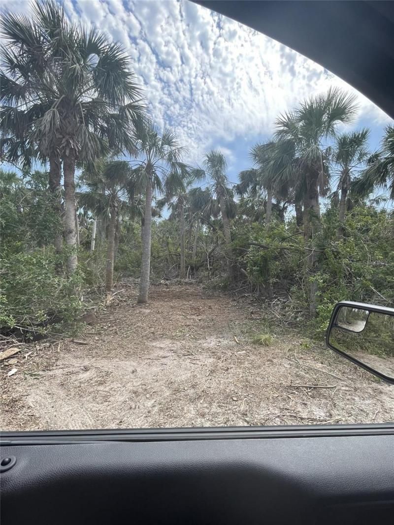 Palm Point Way, Placida, FL 33946 Photo