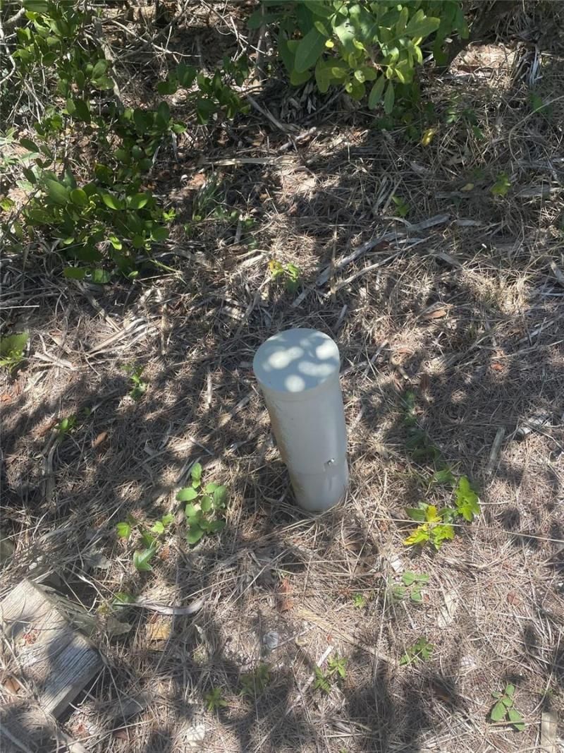 Palm Point Way, Placida, FL 33946 Photo