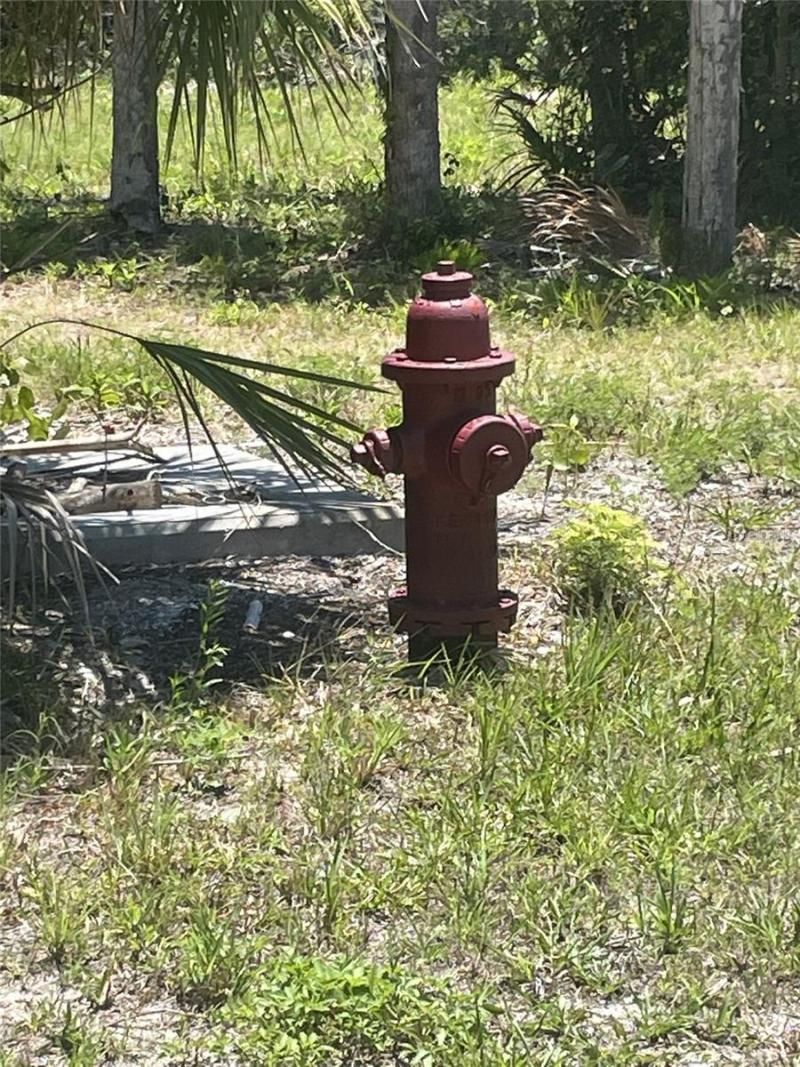 Palm Point Way, Placida, FL 33946 Photo