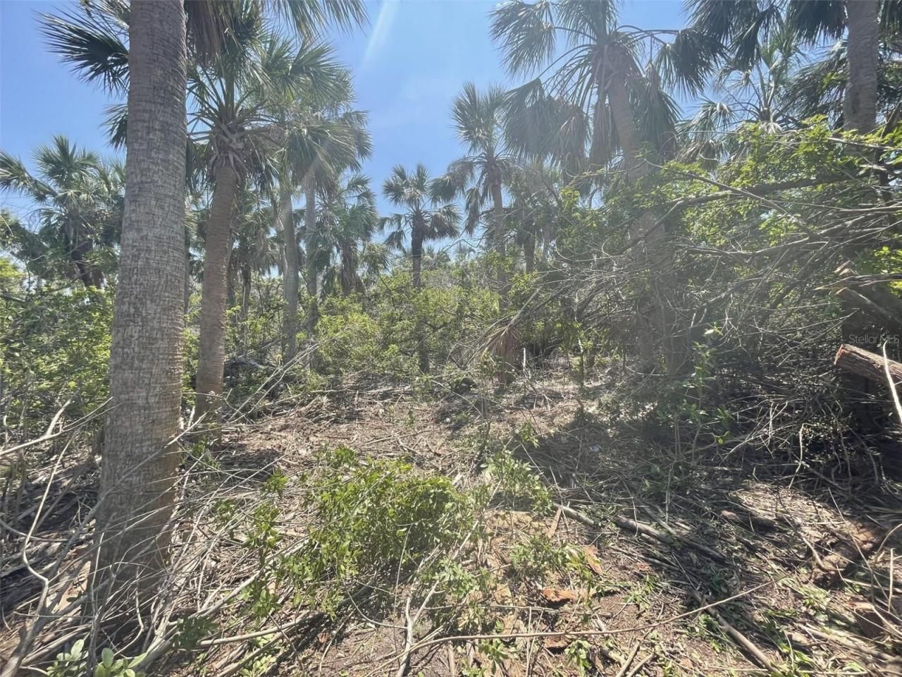 Palm Point Way, Placida, FL 33946 Photo