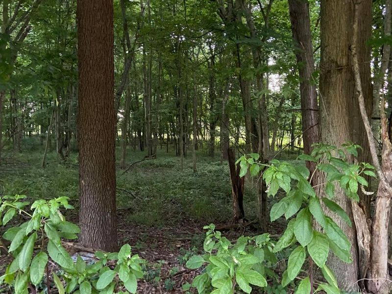 0 DOG HOLLOW Road, Unit LOT #5, Saint Louisville, OH 43071 Photo 14