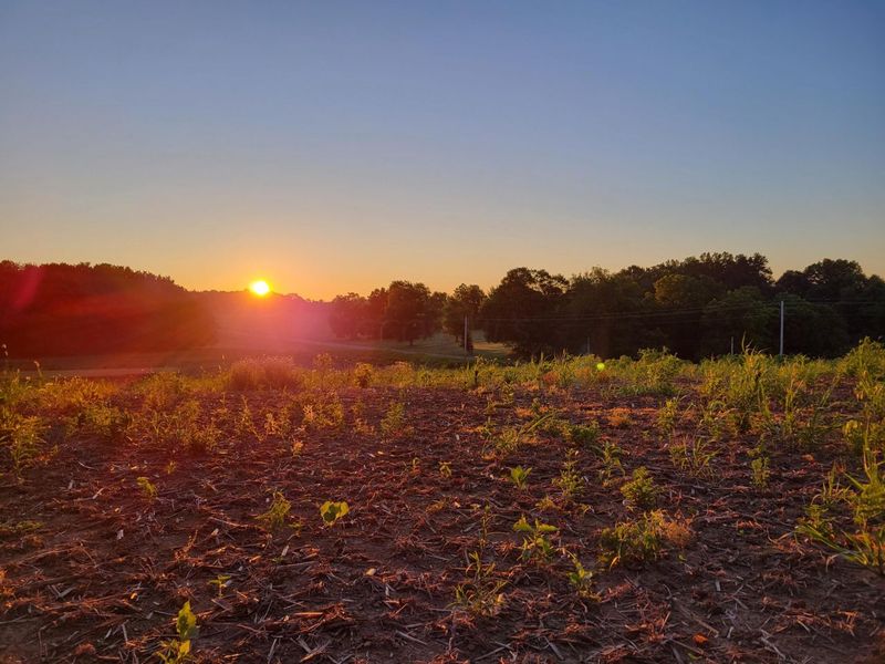 0 DOG HOLLOW Road, Unit LOT #5, Saint Louisville, OH 43071 Photo 17