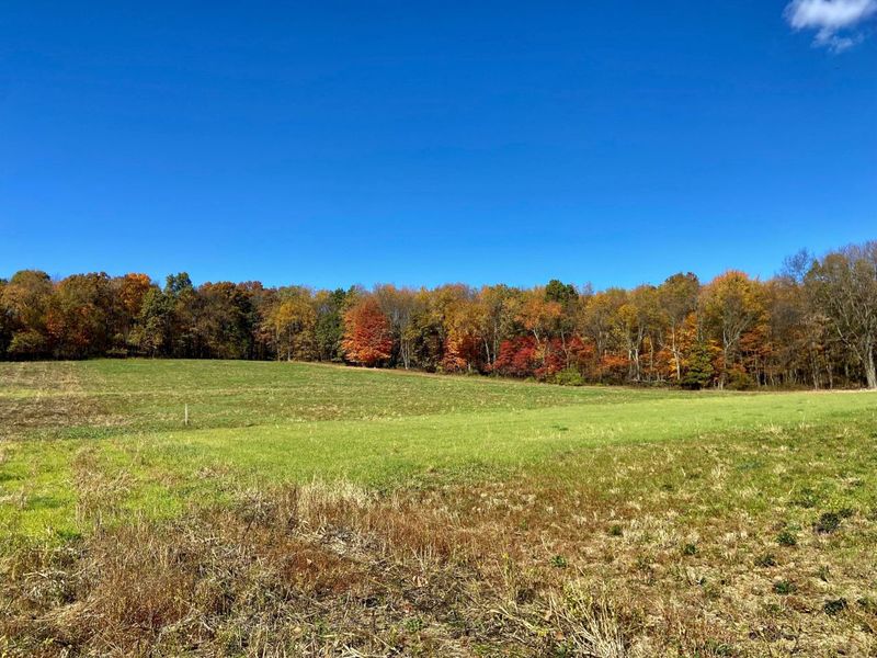 0 DOG HOLLOW Road, Unit LOT #5, Saint Louisville, OH 43071 Photo 19