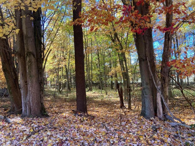 0 DOG HOLLOW Road, Unit LOT #5, Saint Louisville, OH 43071 Photo 20