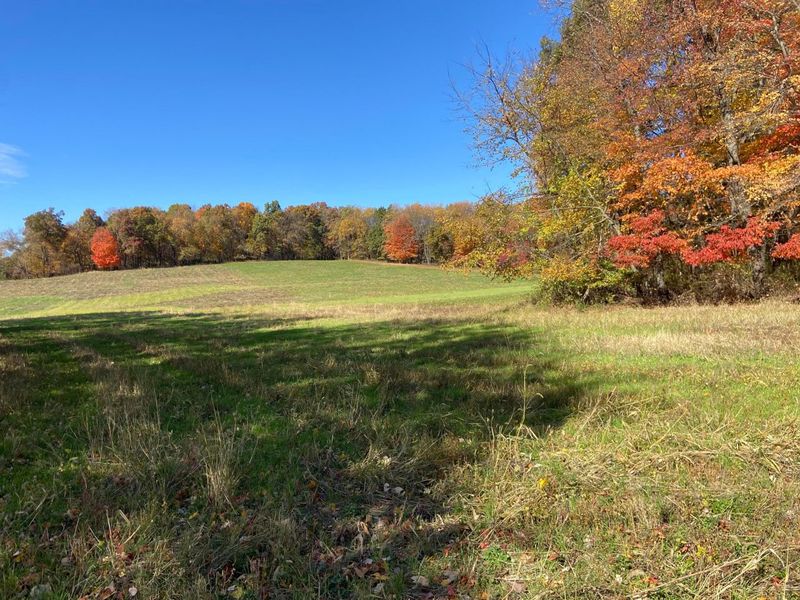 0 DOG HOLLOW Road, Unit LOT #5, Saint Louisville, OH 43071 Photo 22