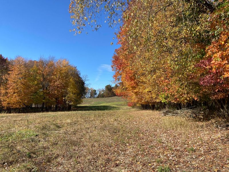 0 DOG HOLLOW Road, Unit LOT #5, Saint Louisville, OH 43071 Photo 23