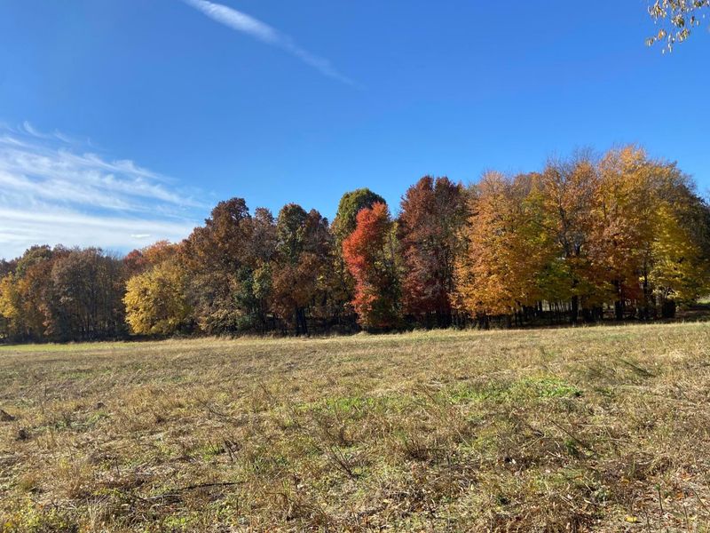 0 DOG HOLLOW Road, Unit LOT #5, Saint Louisville, OH 43071 Photo 24