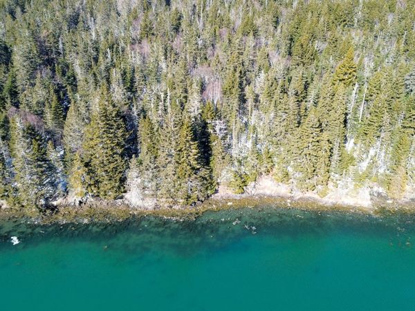 0 Map WA032 Plan 05 Lot 31.1 Road, Trescott Twp, ME 04631