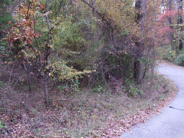 00 Flint Drive, Lakeview, AR 72642