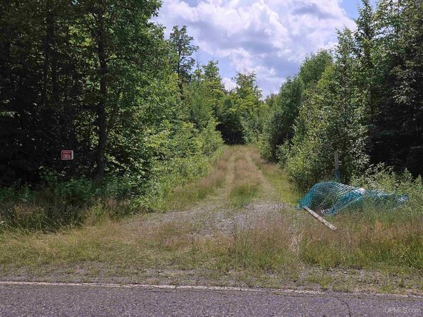 13856 Section 16 Road, Covington Twp, MI 49919