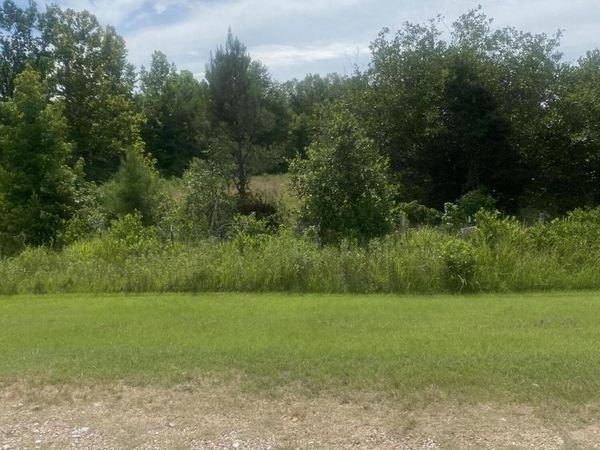 LOT 17 CANDLEWOOD Drive, Saulsbury, TN 38067
