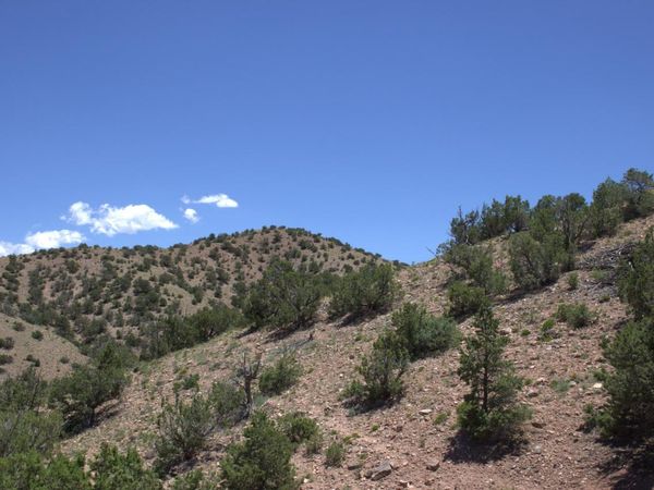 Tres Amigos, Placitas, NM 87043