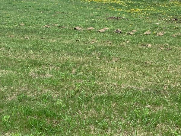 212 Industrial Park Drive NW, Saint Charles, MN 55972