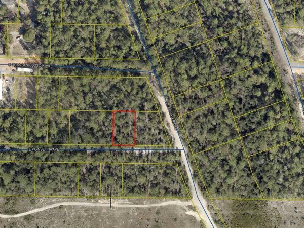 Lot 23 E Poinsetta East Avenue, DeFuniak Springs, FL 32433