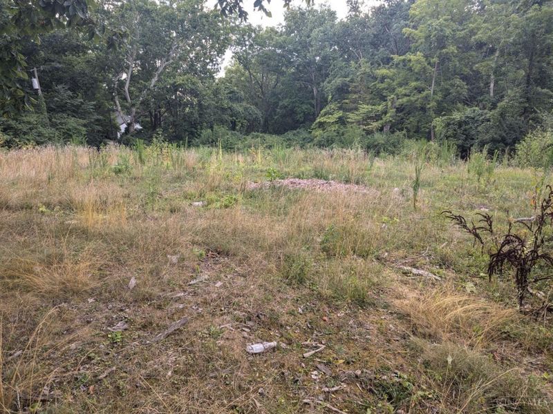 7053 Paddison Road, Anderson Twp, OH 45230 Photo 3