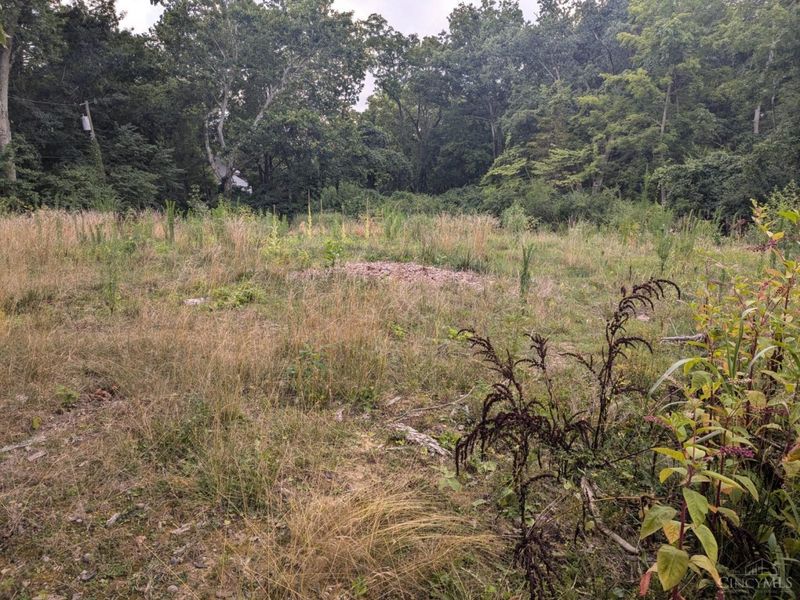 7053 Paddison Road, Anderson Twp, OH 45230 Photo 5