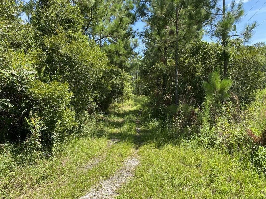 550 W River Road, Palatka, FL 32177 Main Photo