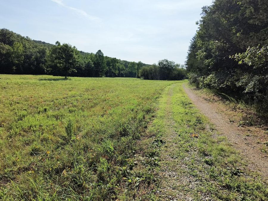 Property Image 29
