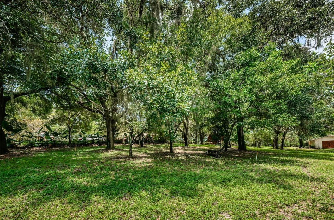 2271 Keystone Road, Tarpon Springs, FL 34688 Photo