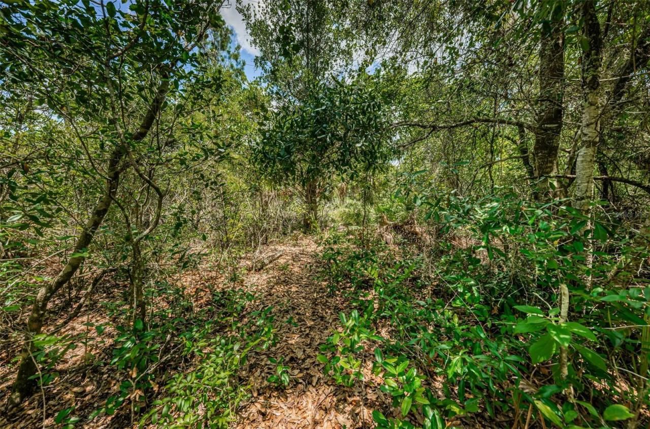 2271 Keystone Road, Tarpon Springs, FL 34688 Photo