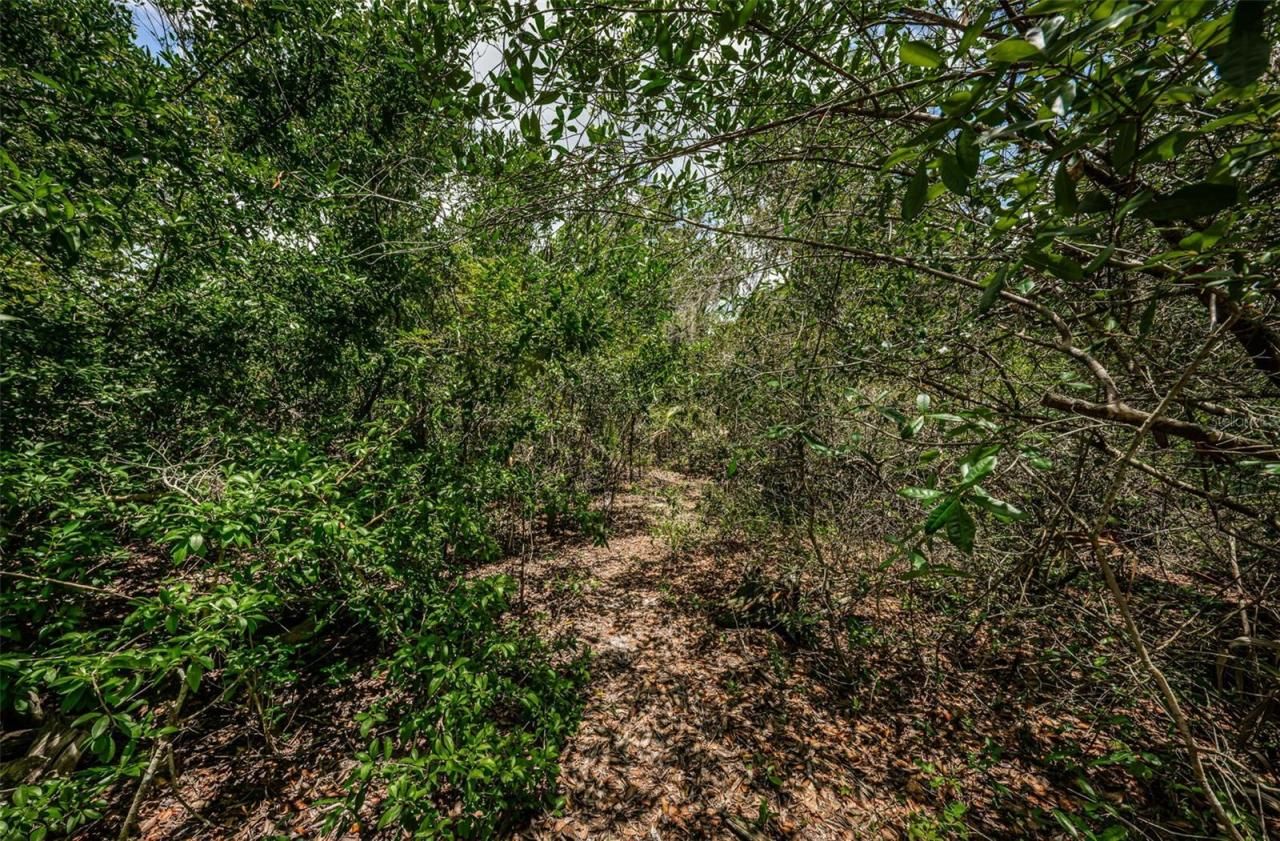 2271 Keystone Road, Tarpon Springs, FL 34688 Photo