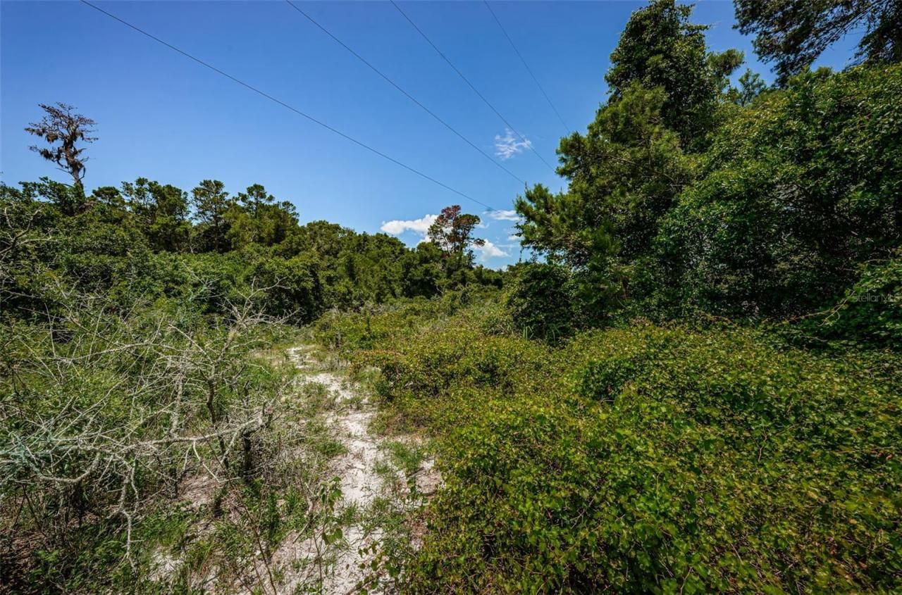 2271 Keystone Road, Tarpon Springs, FL 34688 Photo