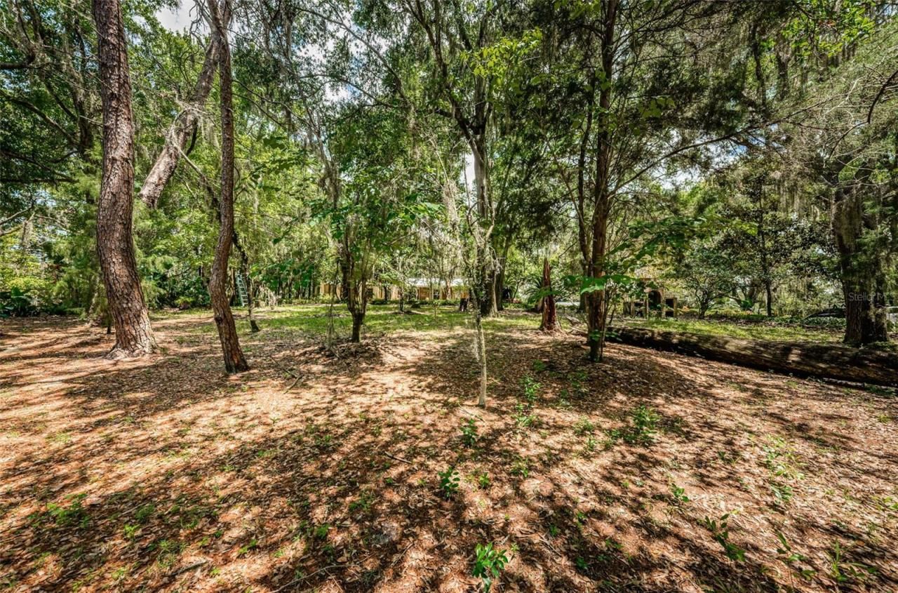 2271 Keystone Road, Tarpon Springs, FL 34688 Photo