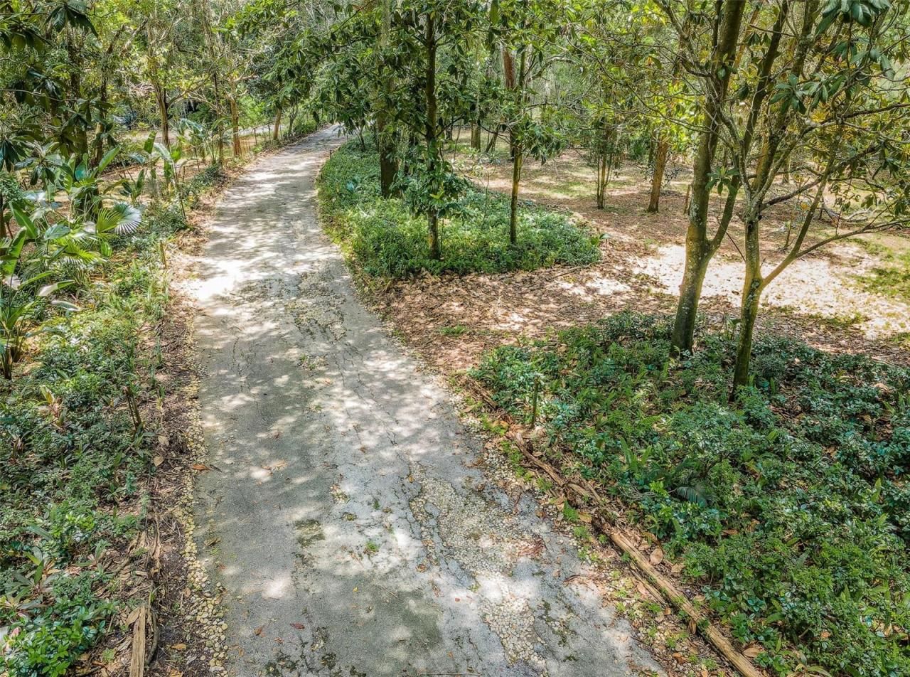 2271 Keystone Road, Tarpon Springs, FL 34688 Photo