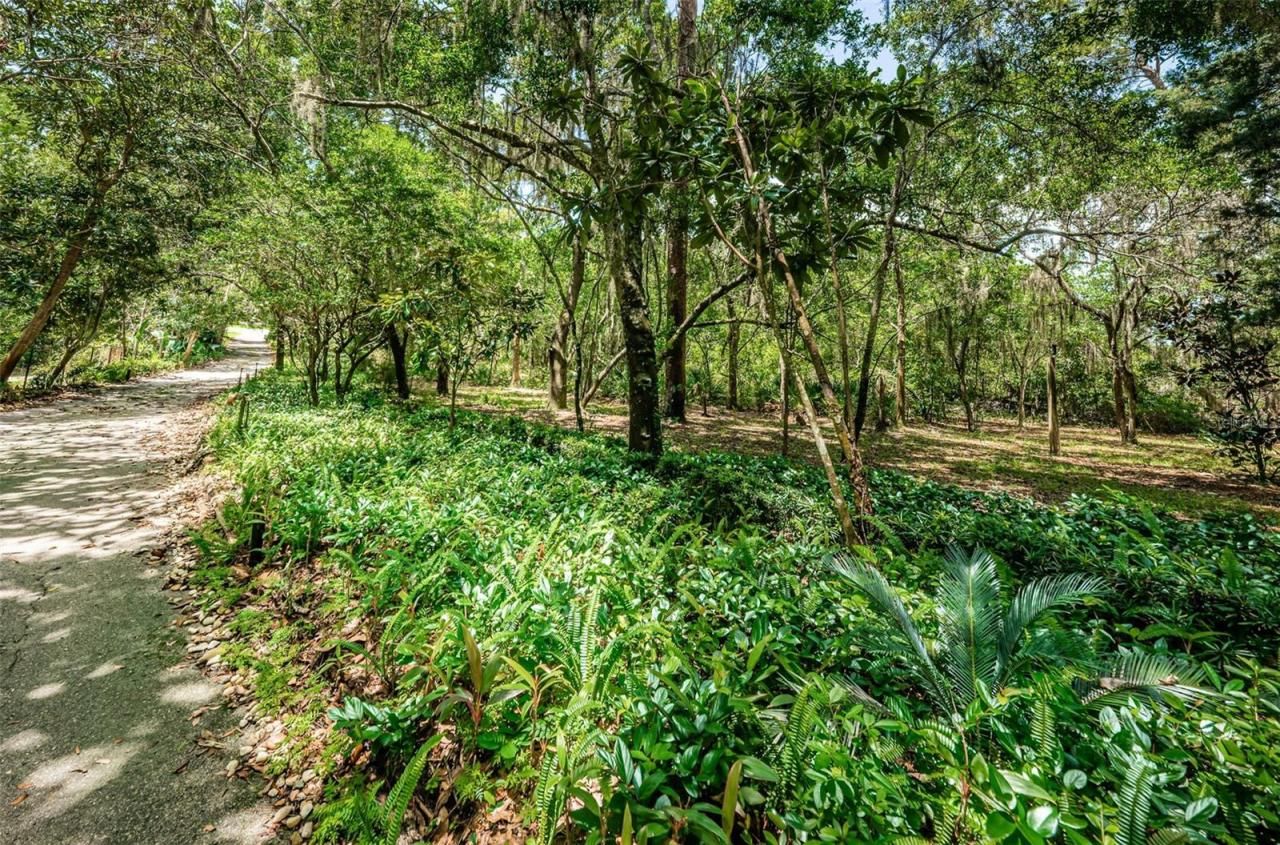 2271 Keystone Road, Tarpon Springs, FL 34688 Photo