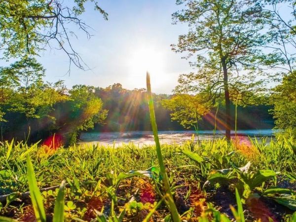 0 Forest Retreat Rd, Hendersonville, TN 37075