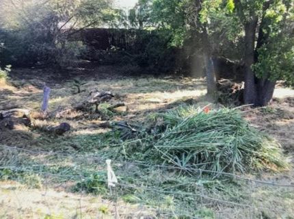 1355 Williamson  Rd, Manteca, CA 95337 Photo