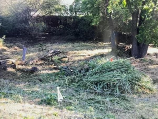 1355 Williamson  Rd, Manteca, CA 95337